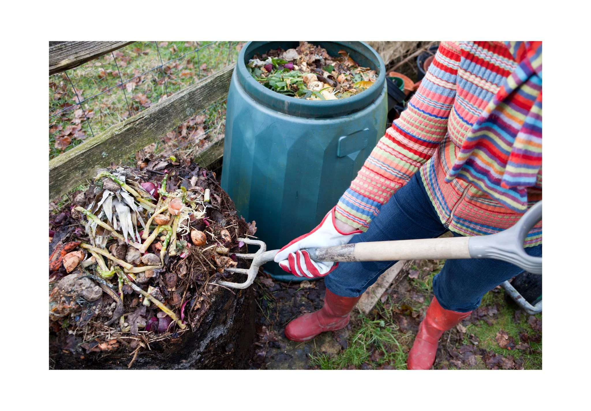 voedselcompost