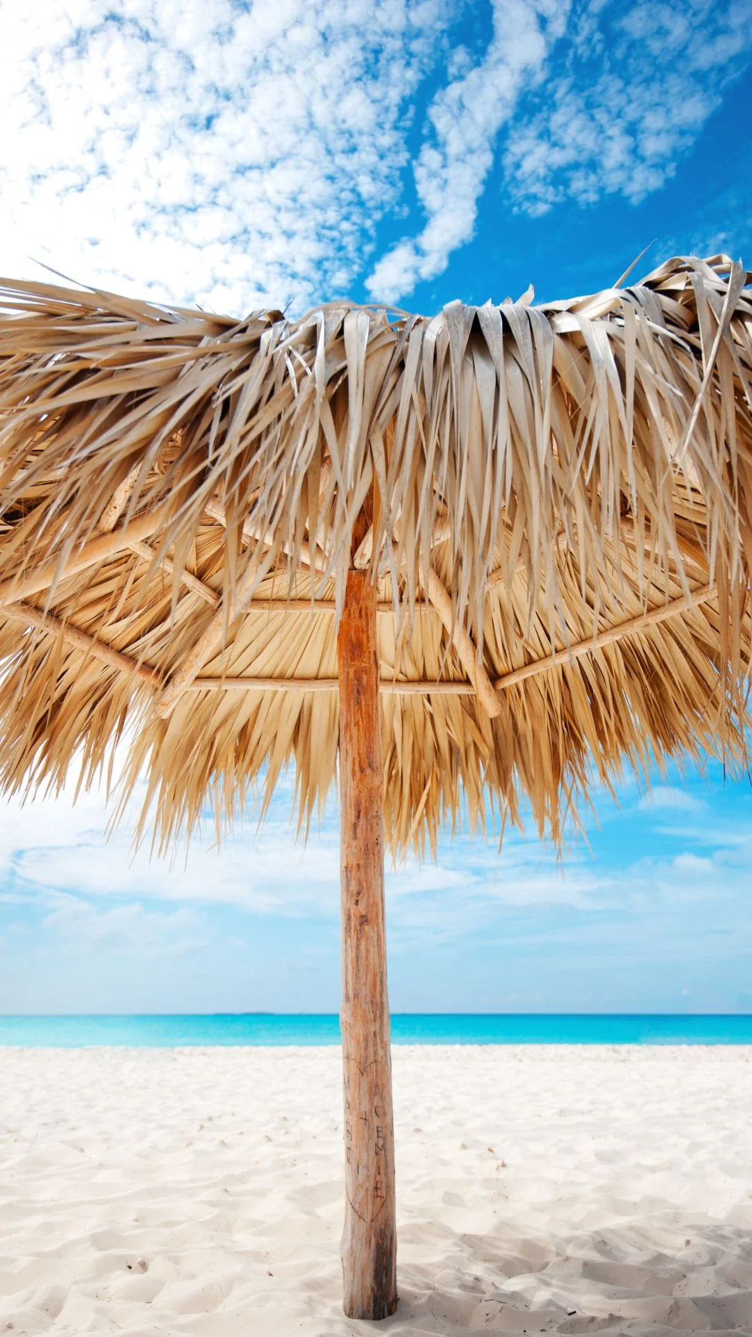 Caribbean Islands Leading in Sustainable Practices: A Comprehensive Analysis on Renewable Energy and Sustainable Tourism