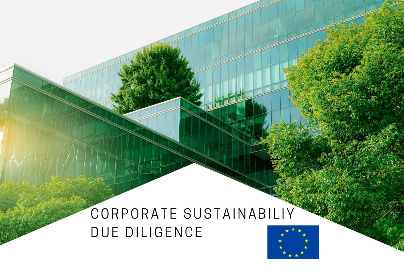 Implementing the Corporate Sustainability Due Diligence Directive in the Hospitality Industry