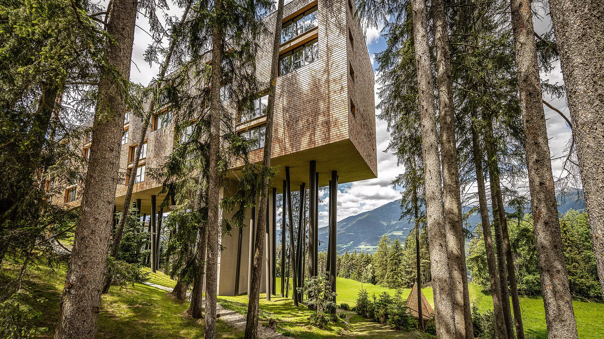 My Arbor x PrintPlast: A Successful Partnership in Sustainability with Eco-Friendly Wood Cards